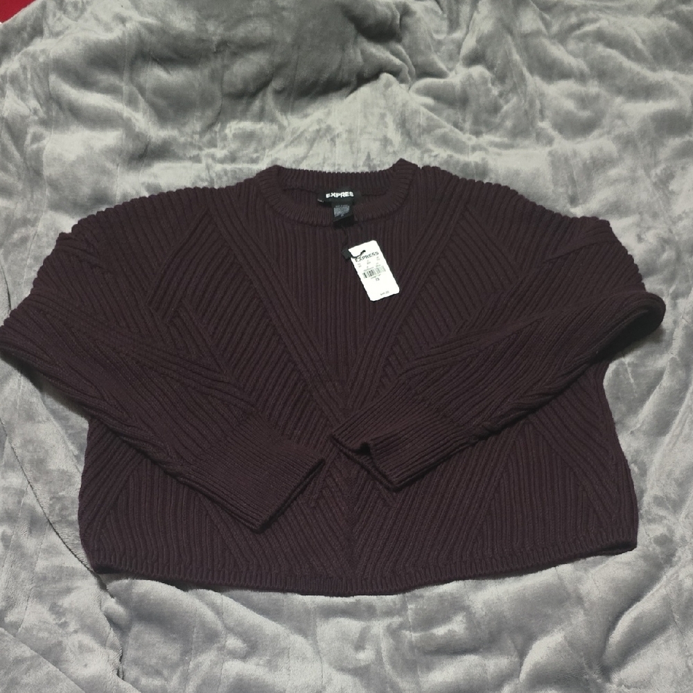 Express Women's Dark Purple/Eggplant Crew Neck Sweater